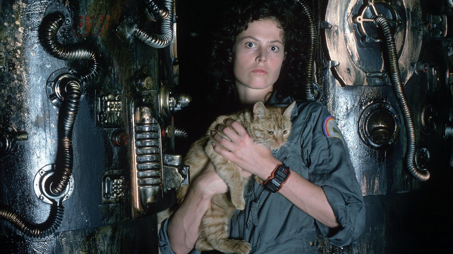 Remembering Jonesy, the best-written cat in film, on this Alien Day ...
