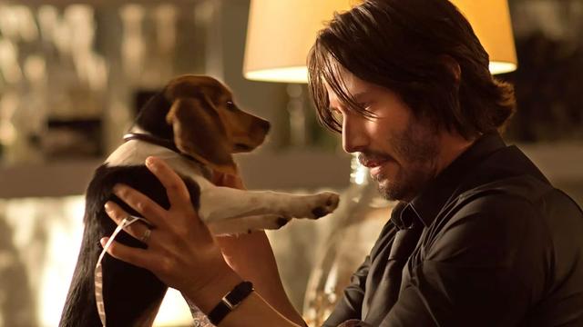 A still from John Wick
