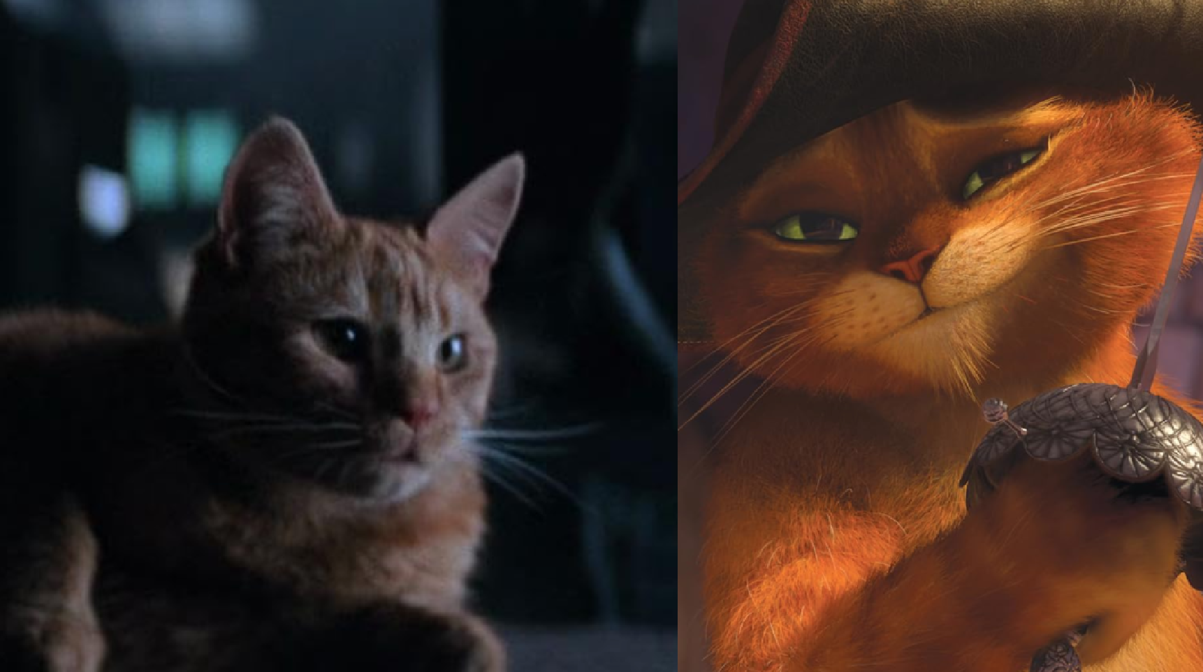 Remembering Jonesy, the best-written cat in film, on this Alien Day ...