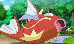Pokemon Magikarp