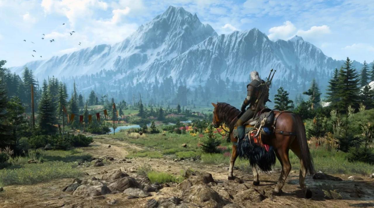 An image from The Witcher 3
