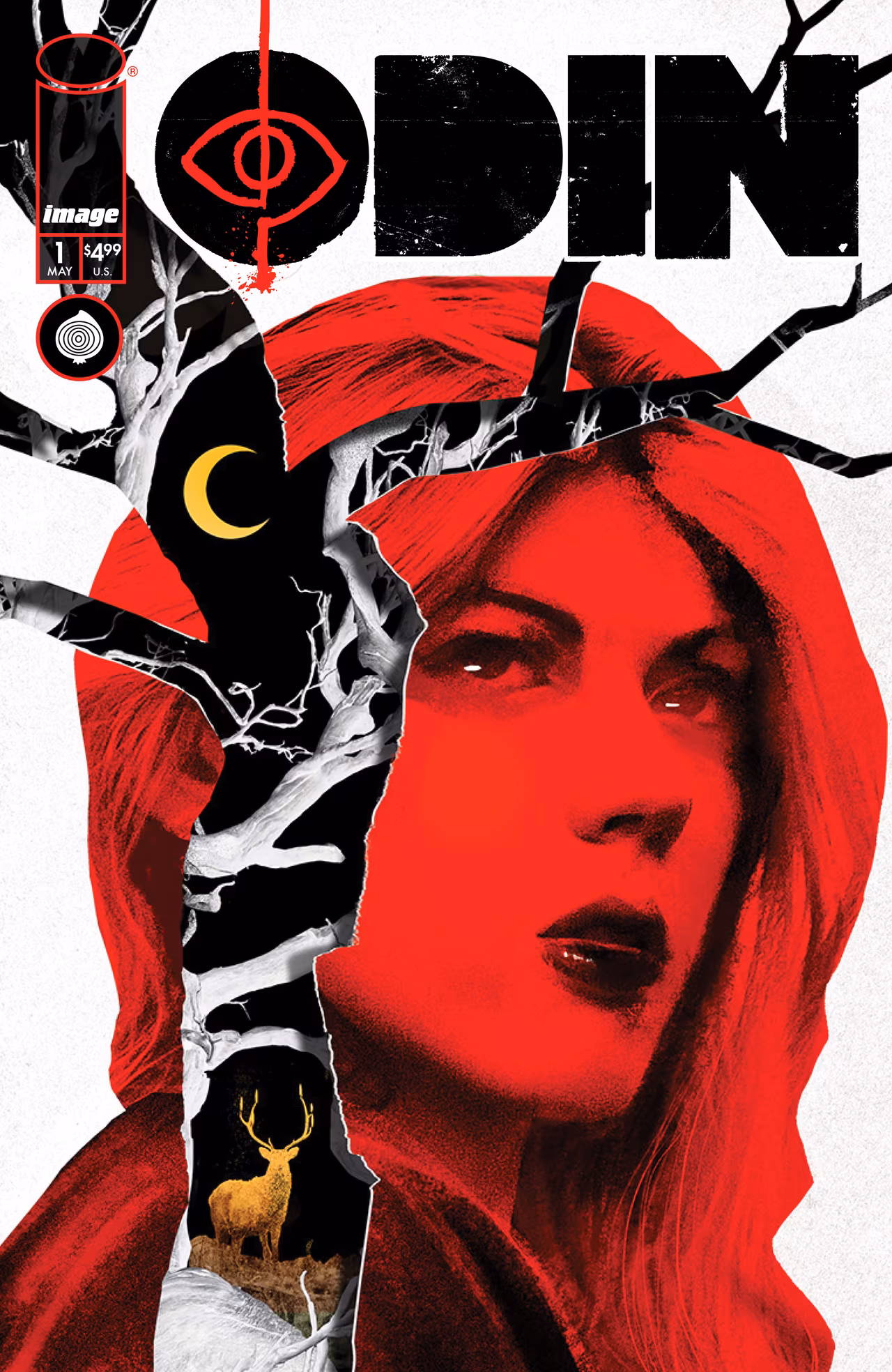 The cover for Odin #1