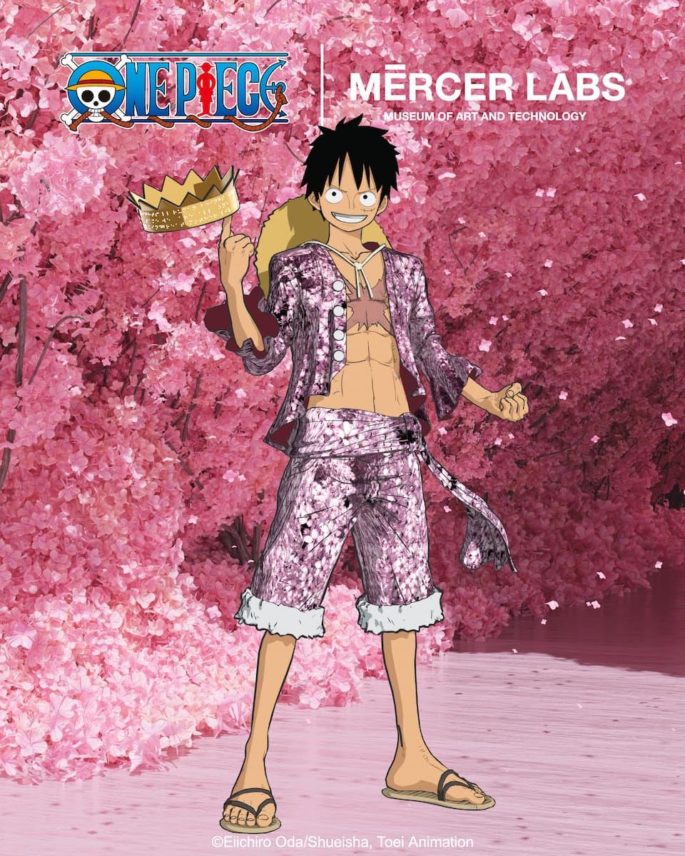 One Piece X Mercer Labs Collab Key Art