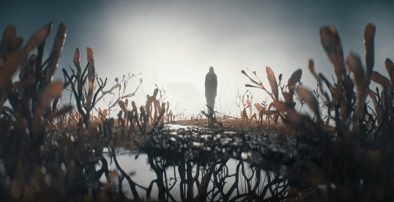 The Last Of Us Season 2 Episode 3 Opener